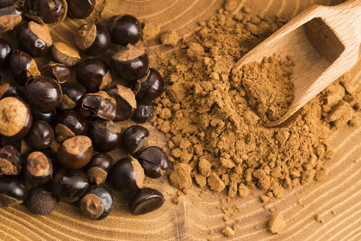 Guaraná Samen und Pulver